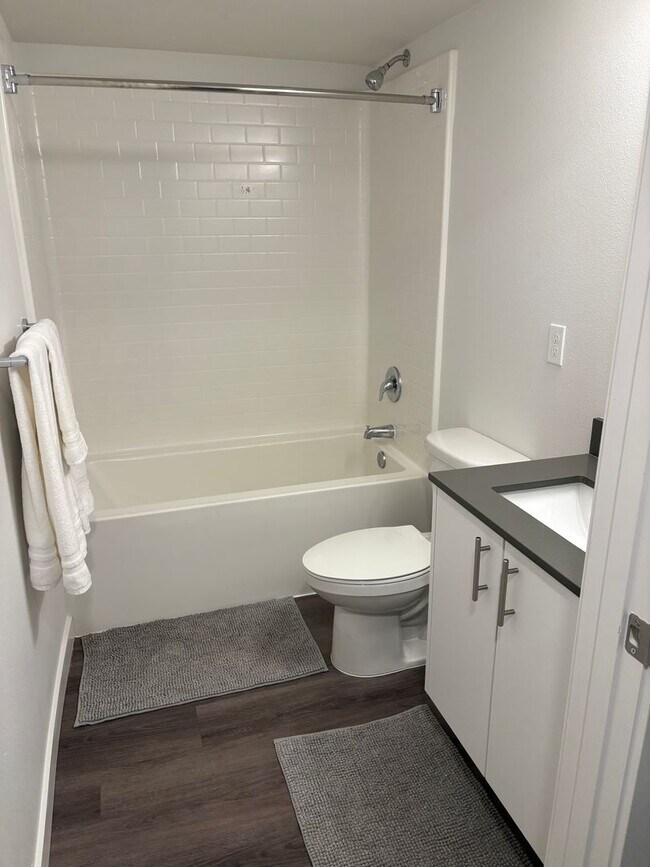 Interior Photo - Betula House