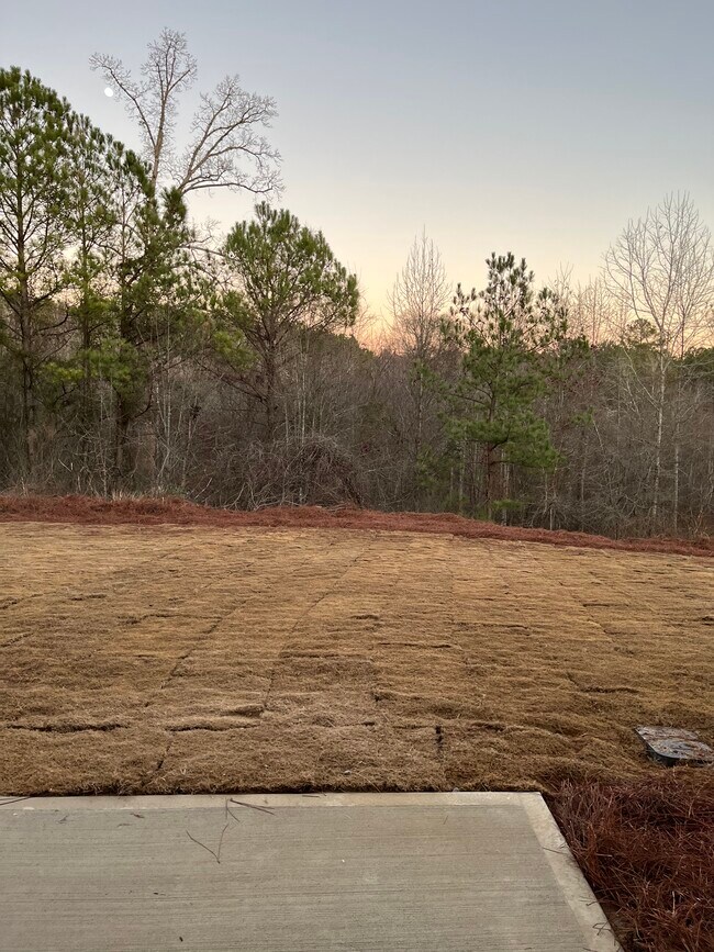 Building Photo - 1423 Ben Park Way