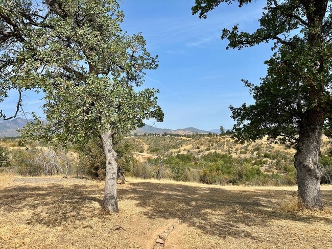 Building Photo - Private Country Retreat on 5 Acres – Modern Upgrades, Peaceful Setting