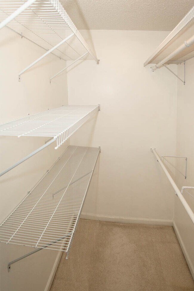 Building Photo - Large 2br/2ba - All utilities included in rent