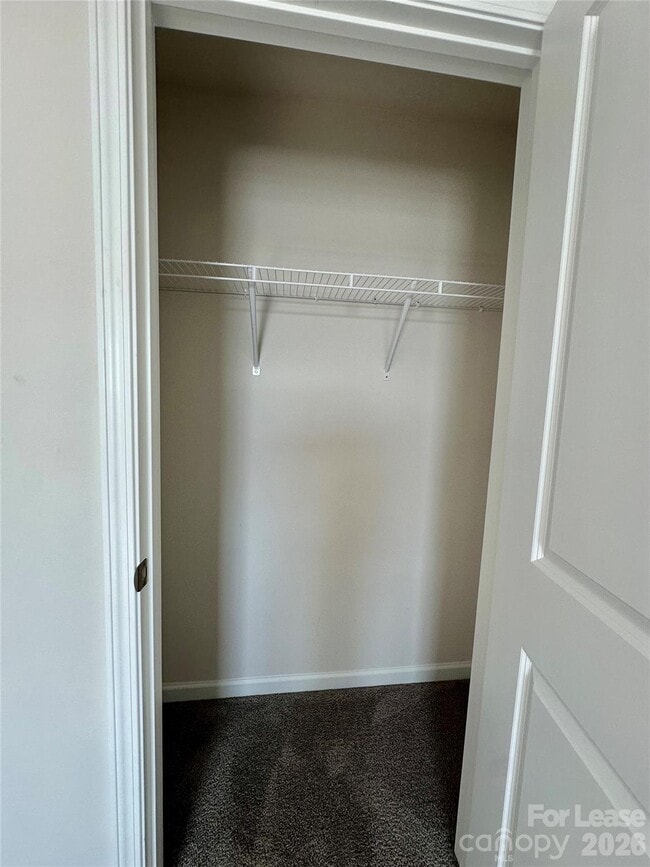 Building Photo - 1603 Blue Velvet Ln