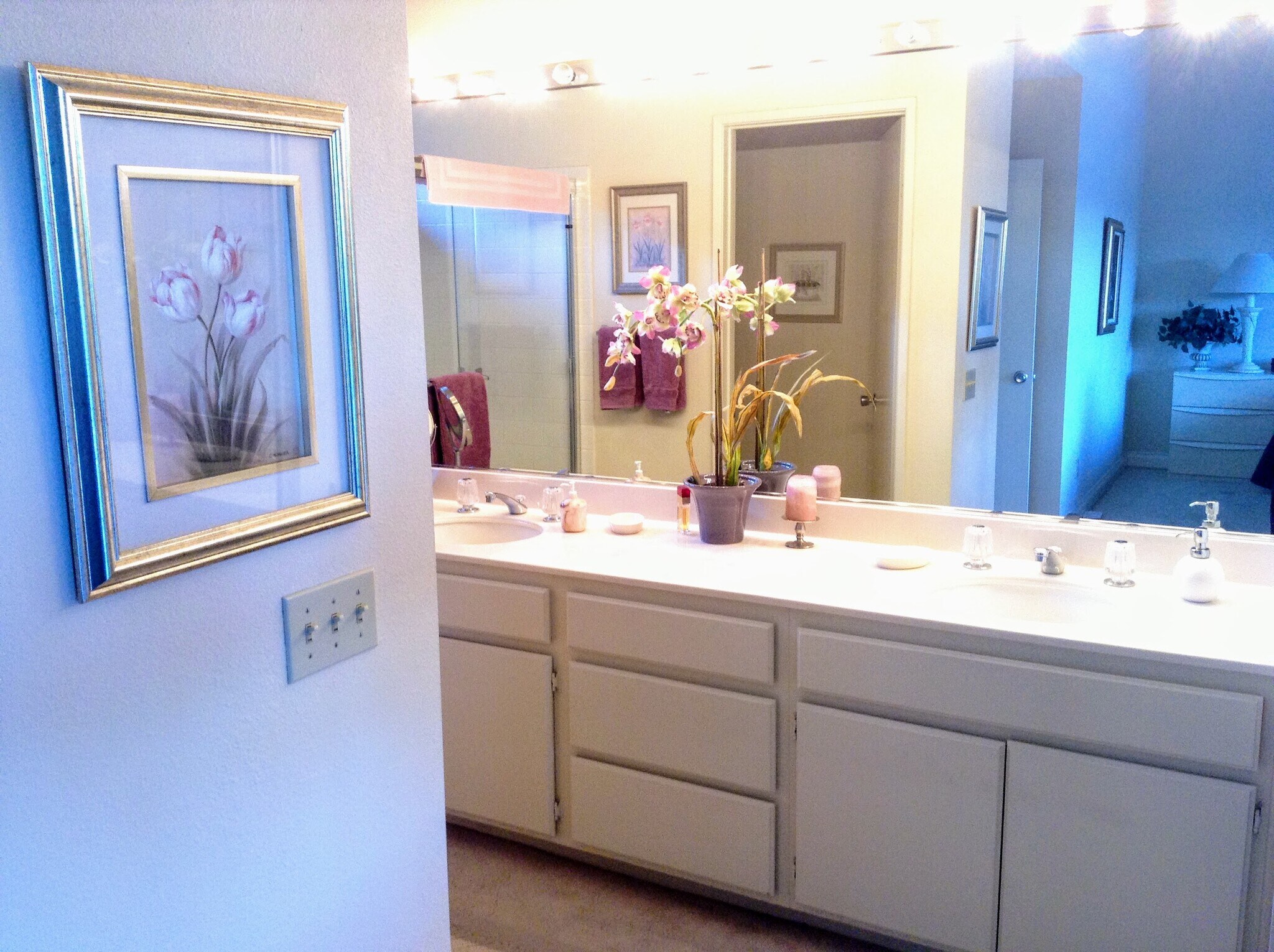 master bathroom - 55456 Firestone