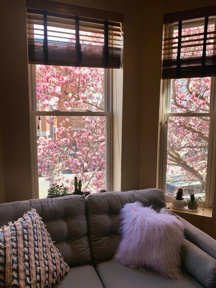 Living Room View - 241 Boston St