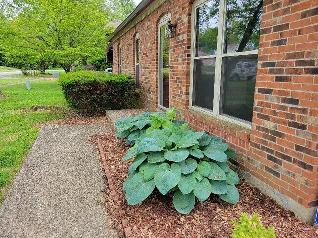 Building Photo - 8323 Roseborough Rd