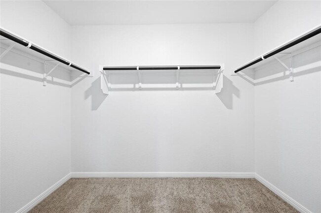 Building Photo - 416 Breccia Trl
