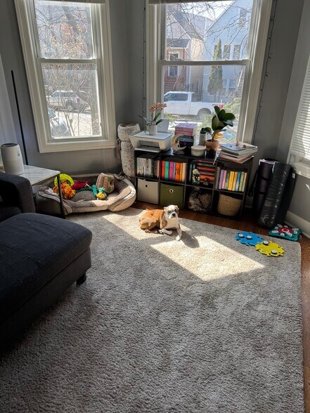 Living room bay windows - 3131 N Central Park Ave
