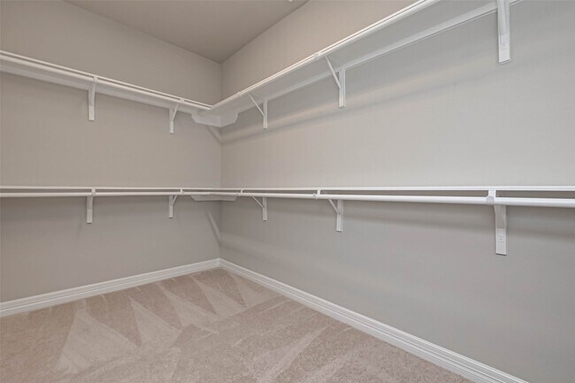 Building Photo - 3433 Acacia Grv Ln