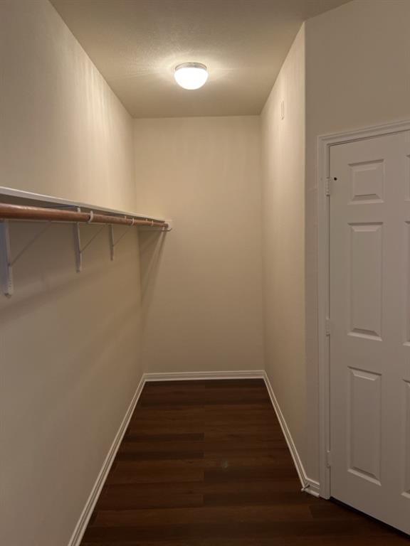 Building Photo - 1038 Bay Sky Way