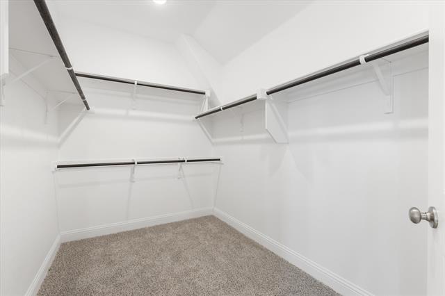 Building Photo - 608 Amenduni Ln