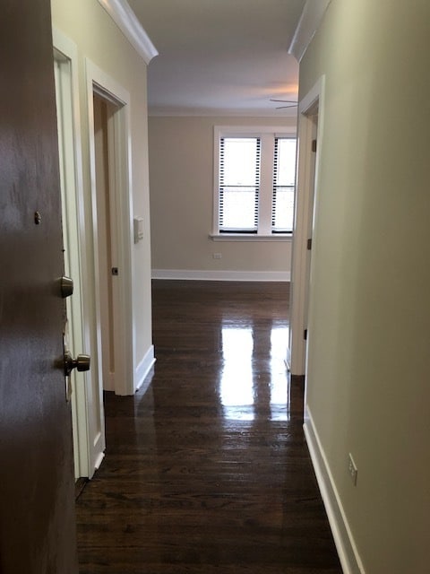 Building Photo - 839 W Cornelia Ave