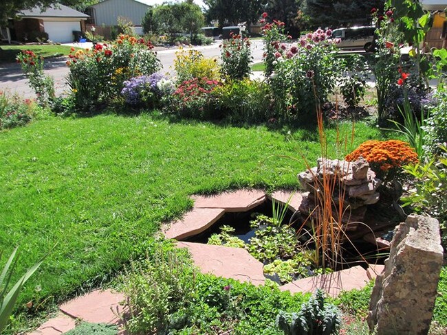 The water-feature adds dynamic to the garden and has a small waterfall that adds the soothing sound of running water. - 28 James Circle