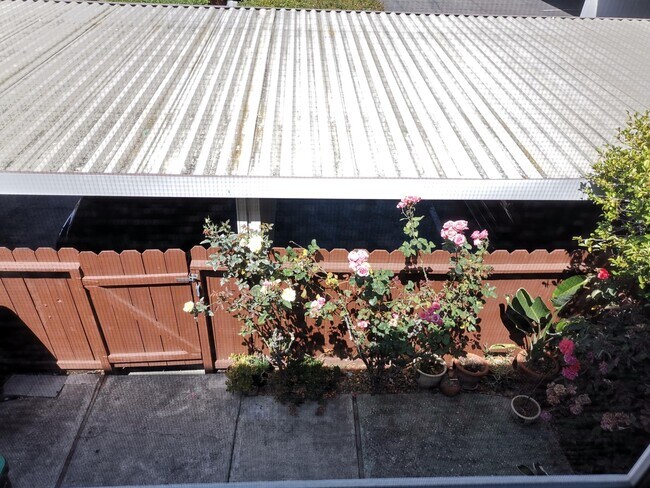 Building Photo - 4411 Seminole Way