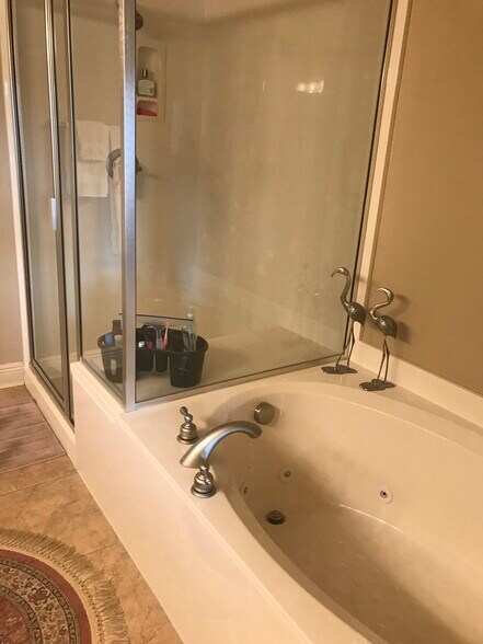 Whirlpool tub, walk in shower - 413 Halteria Ln