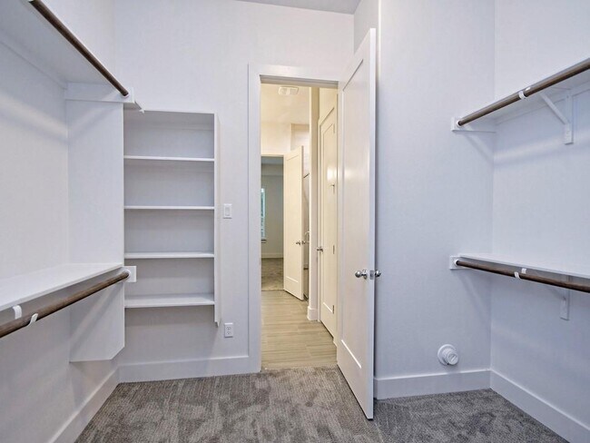 Building Photo - 1249 Summerbrooke Cir