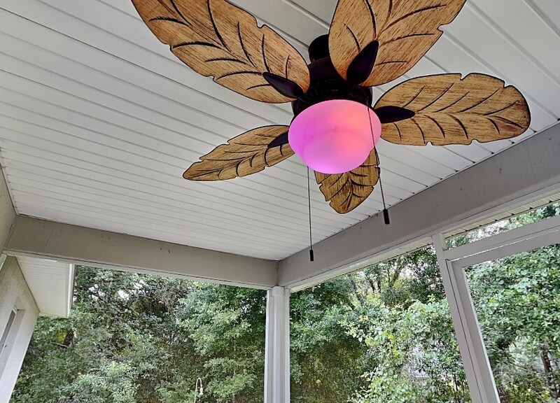 Building Photo - 904 W Rum Pl