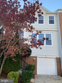 Building Photo - 22519 Maison Carree Square