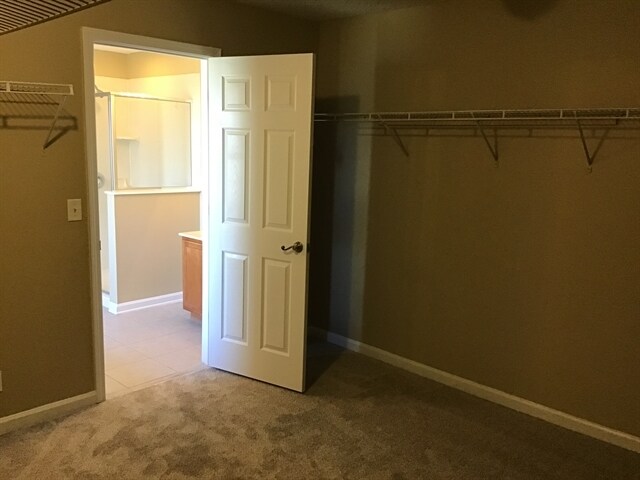 Building Photo - 724 Spruce Pine Ln