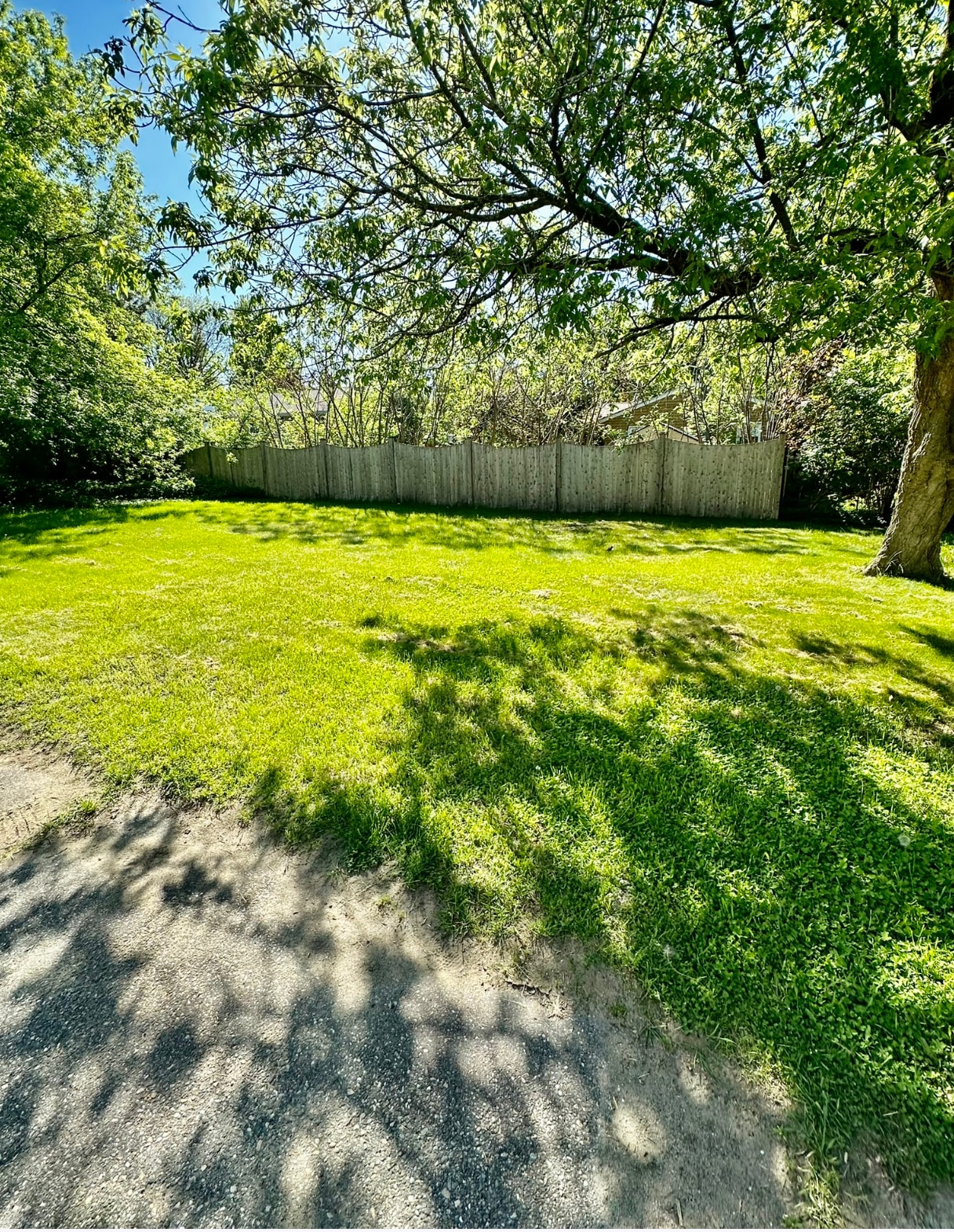 Side yard with parking spaces - 91 Faith St