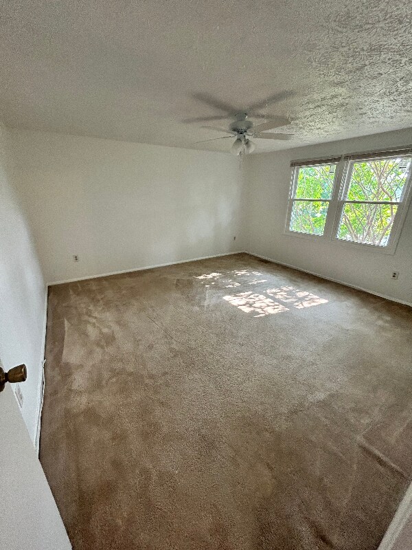 Building Photo - 1200 Cabinwood Pl