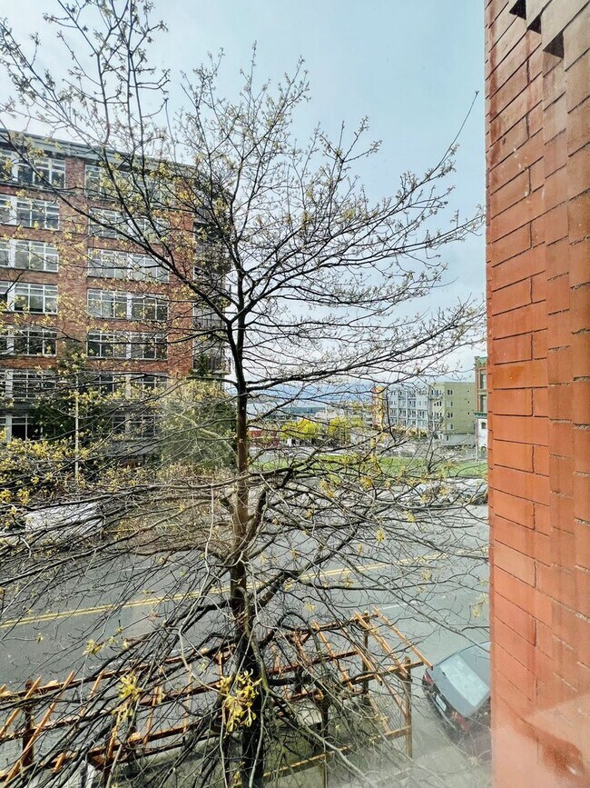 Building Photo - Belltown Loft Condo