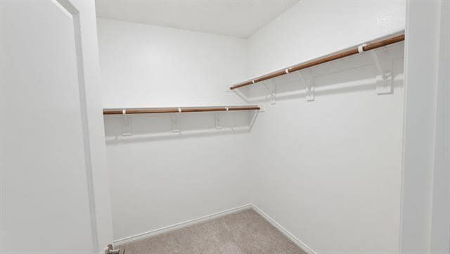 Building Photo - 956 Lost Mine Trl