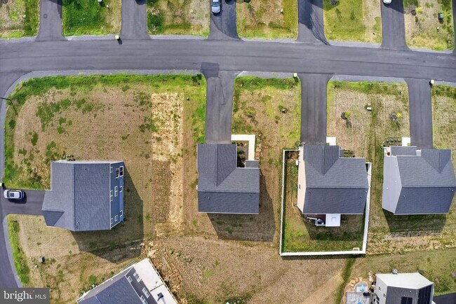 Building Photo - 3155 White Tail Dr