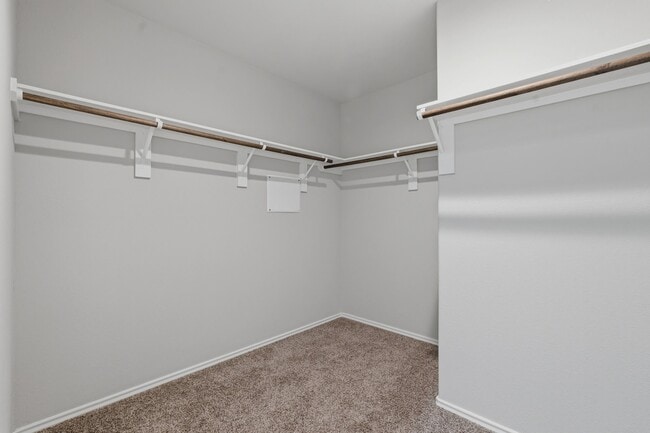 Building Photo - 23611 Eldarica Pine Ct
