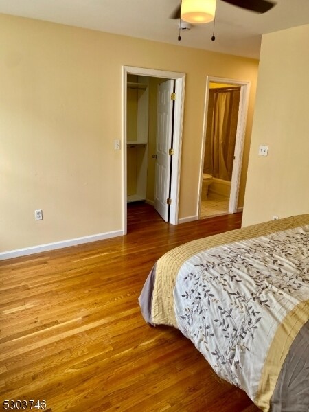 Building Photo - 633 Magnolia Ave