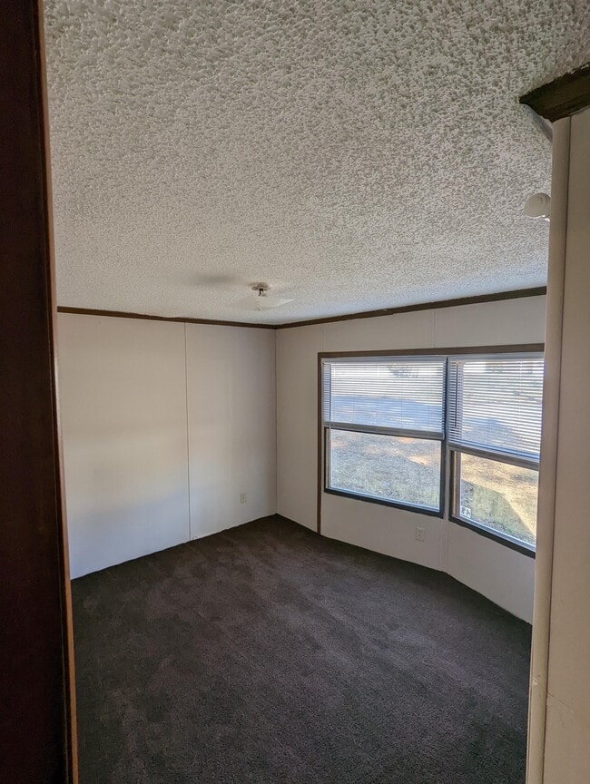 Building Photo - 247 Ransdell Ln