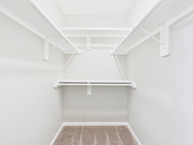 Building Photo - 12642 Ashford Meadow Dr