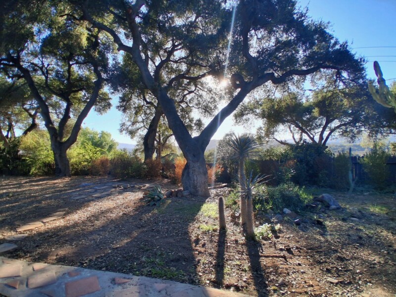 Building Photo - 1794 S Rice Rd