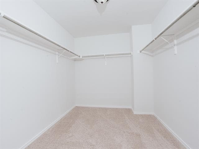 Building Photo - 4301 Latigo Cir