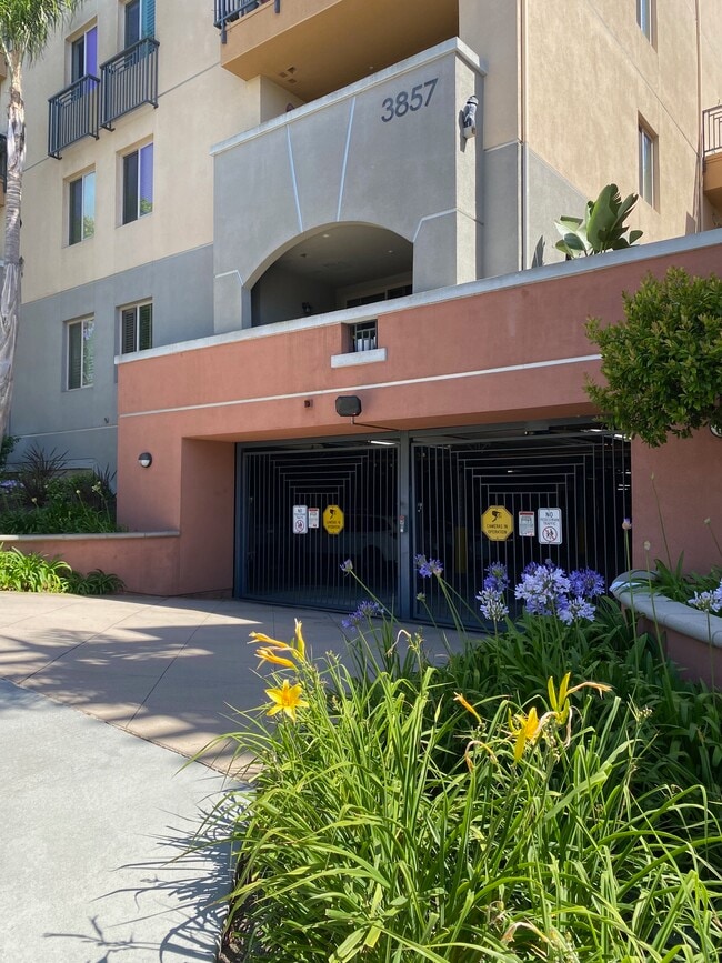 Building Photo - 3857 Pell Pl