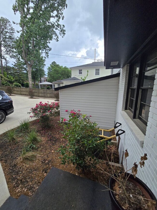 Building Photo - 2534 Forest Dr