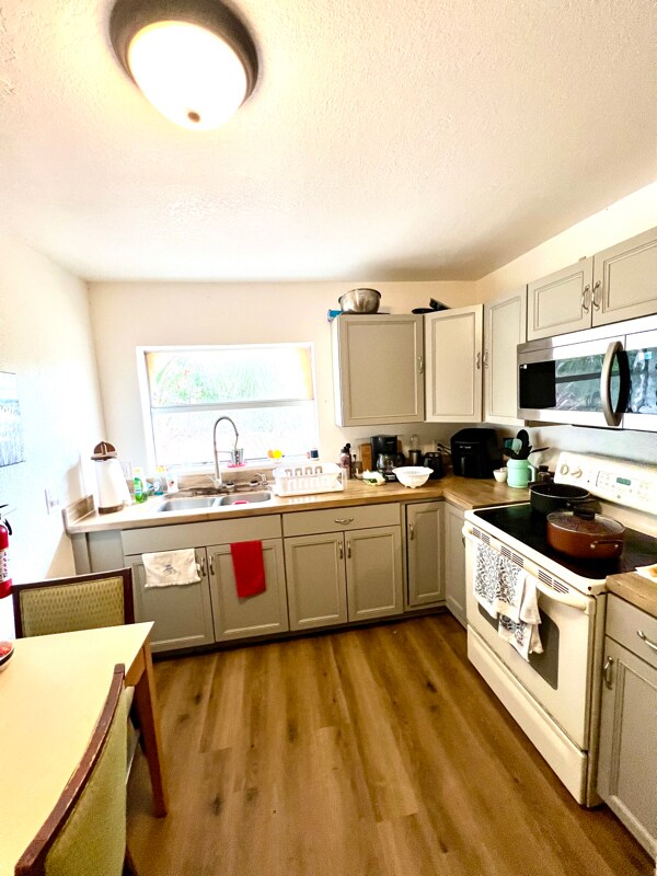 Building Photo - 12116 Lamont Dr