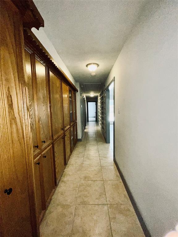 Building Photo - 31 Palmetto Pl