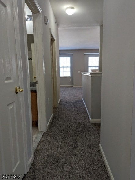 Building Photo - 97 Conover Terrace