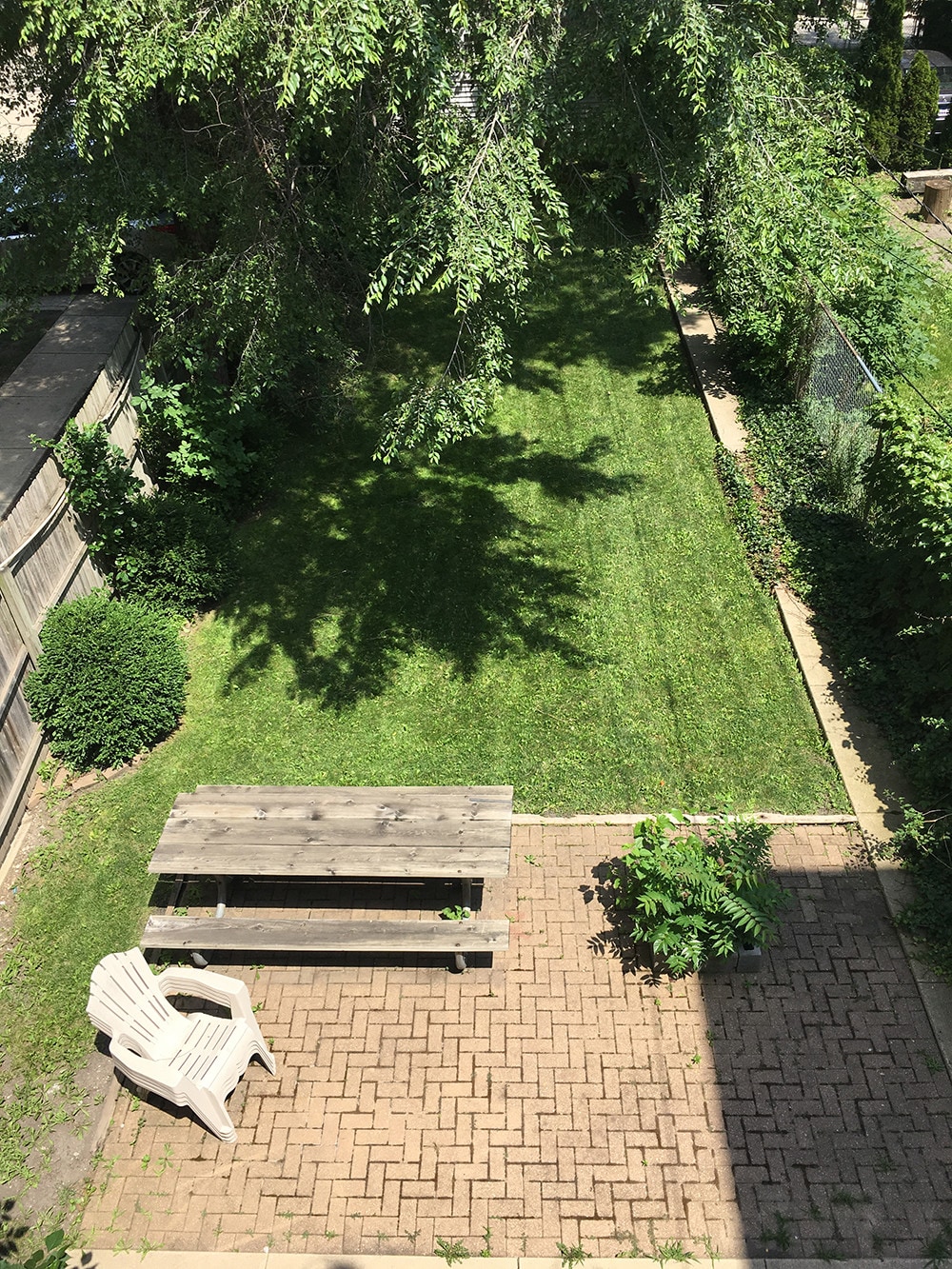 Shared backyard - 1927 N Sawyer Ave