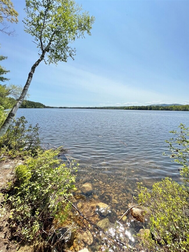 Building Photo - 185 Big Sandy Rd