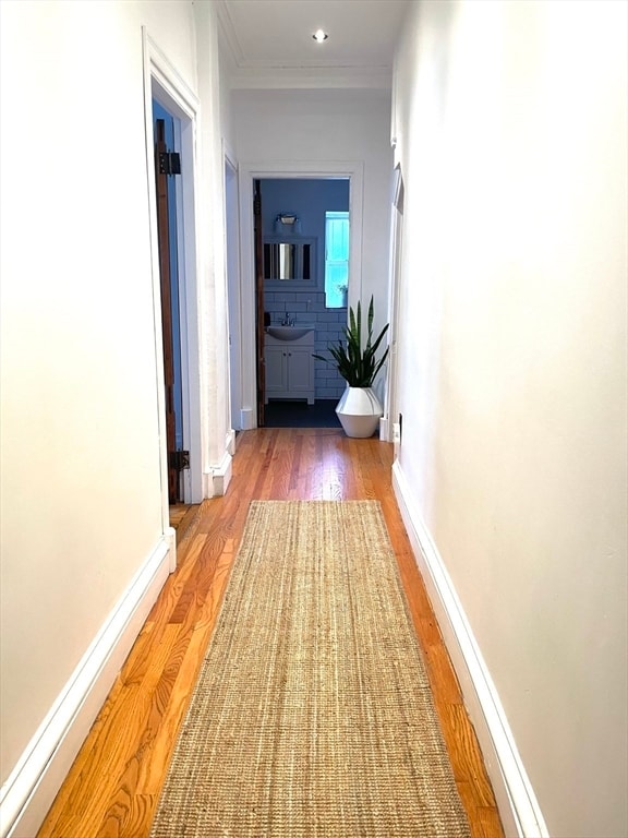 Building Photo - 26 Clifford St