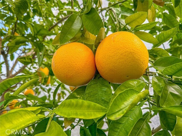 Building Photo - 5625 Slicers Cir