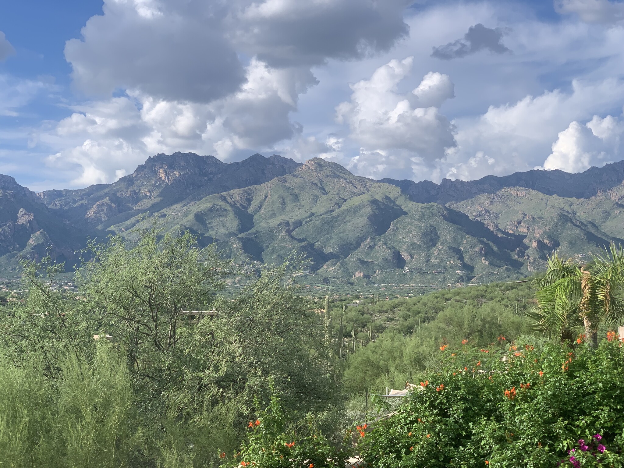 Catalina Foothills 4 bedroom 4 bath Home located in prestigious Canyon Ridge. 270-degree VIEWS! - 4667 N Rocky Crest Plz