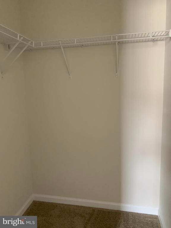 Building Photo - 11005 Blackburn Cove Ln