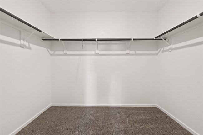 Building Photo - 29055 Rolling Tundra Wy