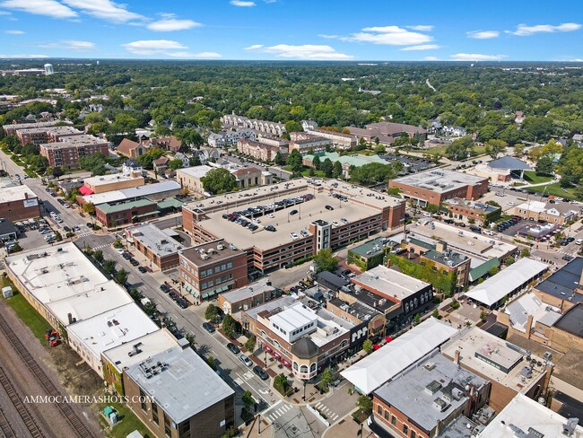 Building Photo - 1107 Santa Rosa Ave