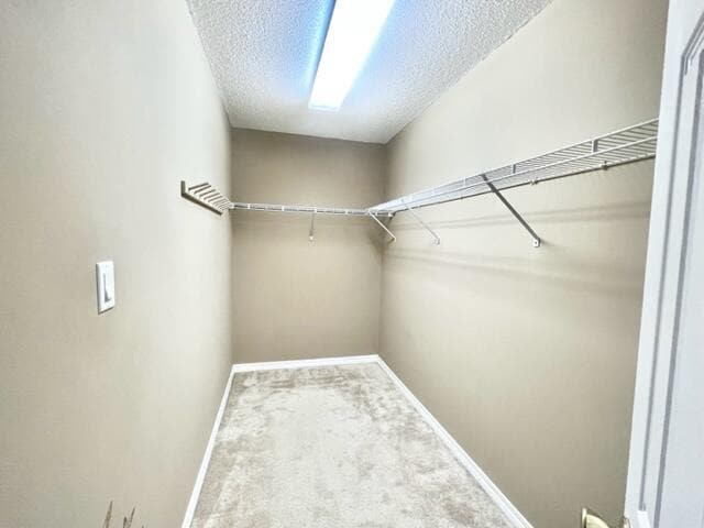 Building Photo - 4190 White Tail Cir