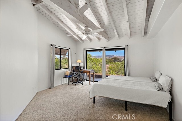 Building Photo - 31645 Rancho Viejo Rd