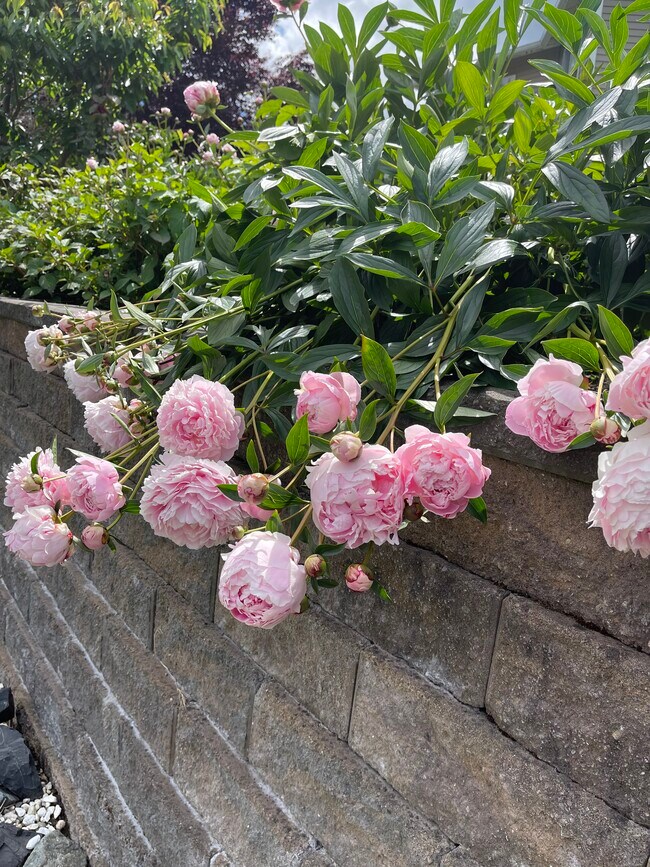 Building Photo - 15407 36th Dr SE