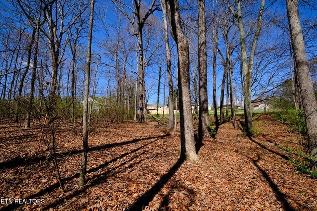 Building Photo - 548 Murray Rd NW