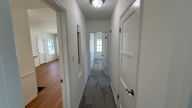 Hallway to Bedrooms - 530 N Sycamore Ave